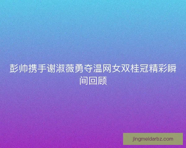 彭帅携手谢淑薇勇夺温网女双桂冠精彩瞬间回顾